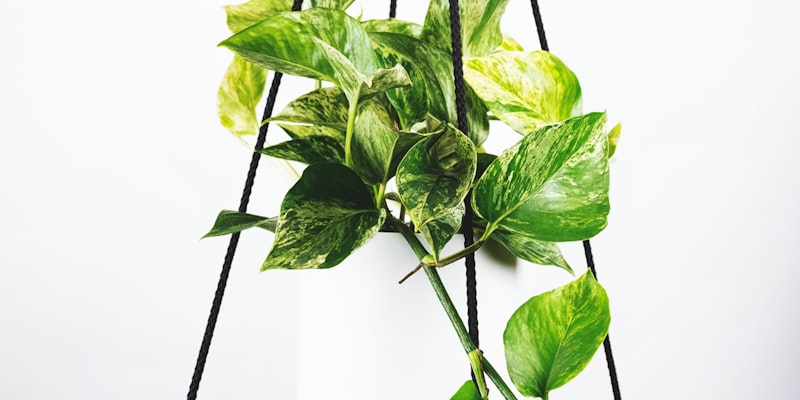 足球明星姆巴佩在新闻发布会宣布转会消息